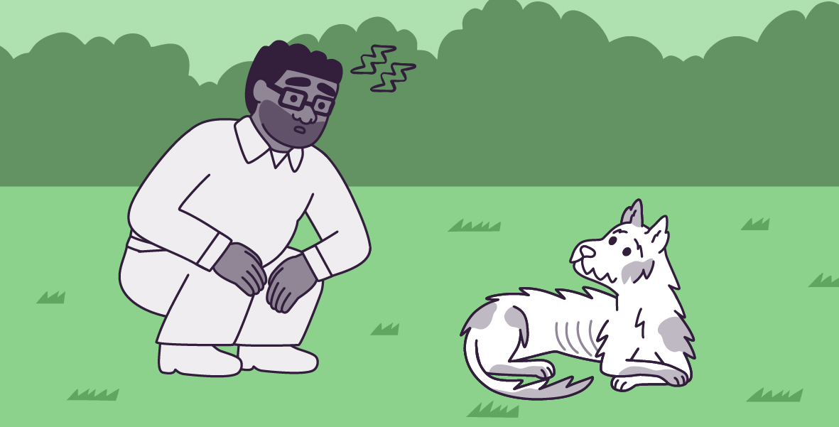 A vector illustration in a large horizontal rectangle, of Clover and Oliver, in green grass with light green bushes in the background. Oliver is crouching next to Clover, on his left, with his hands on his knees and two lightning icons above his head. Clover is sitting in the same position, facing left, looking at Oliver. 