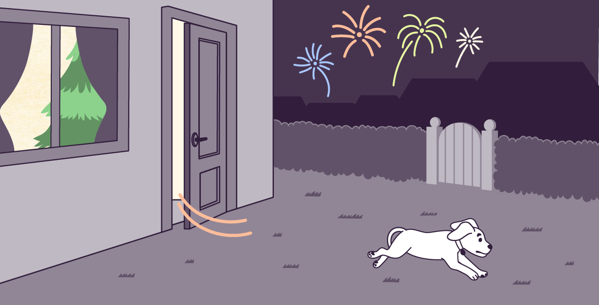 A vector illustration on a large rectangle of Lilac, running from home into the backyard at night, with her tail between her legs. The door is half open, and a Christmas tree can be seen from the window. There are colorful fireworks in the sky. 