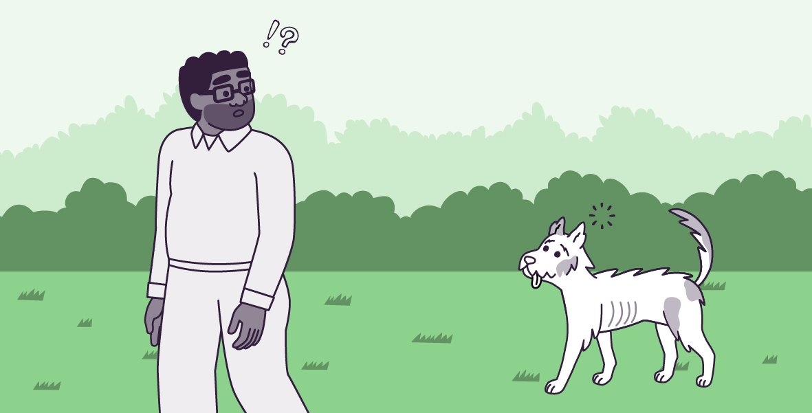 A vector illustration in a large horizontal rectangle, of Clover and Oliver, in green grass with light green bushes in the background and a light blue sky. Oliver is walking to the left but looking to the right, at Clover, with his mouth open and two icons above his head, an exclamation mark, and question mark. Clover is standing to the right, looking to the left, at Oliver, with his tongue out, his tail up, and two shapes of circular rays over his head.