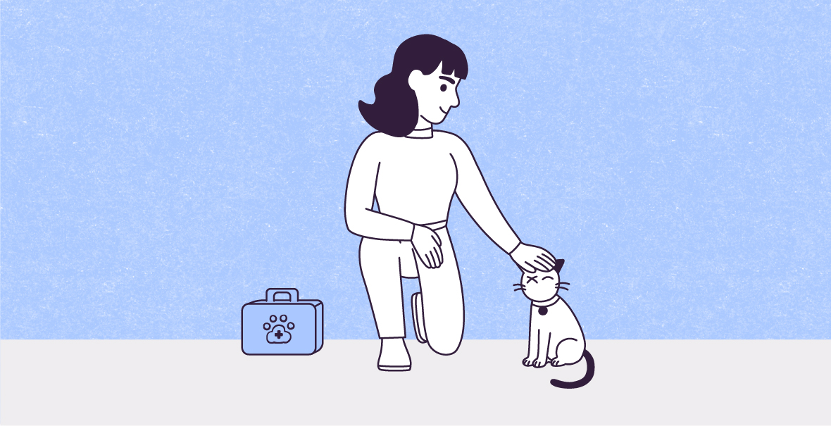 A vector illustration on a large horizontal rectangle with Night Snow Blue paper-textured background of Lily and Violet standing on a smaller off-white rectangle. Lily is kneeling with her left knee on the floor and her right foot forward, looking down and to the right at Violet while petting her with her left hand on the head. Violet sits with her eyes closed and her tail on the ground. Lily’s right arm is resting on her right knee, and by her left side, a blue box with an icon of a paw with a cross inside is standing on the floor.