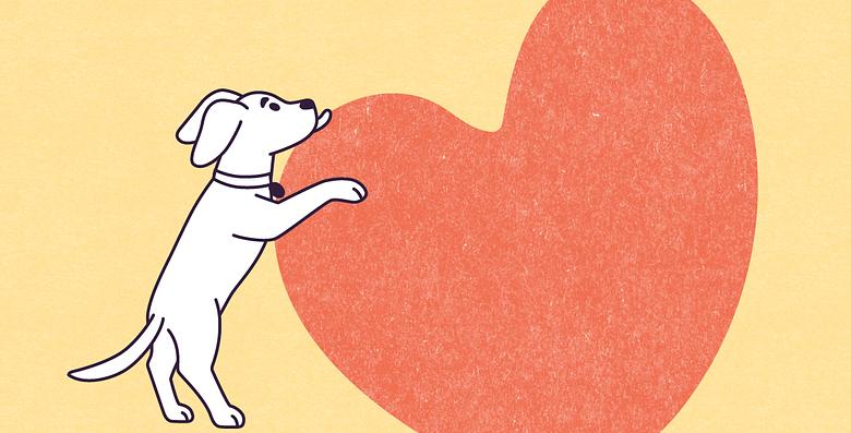 A vector illustration on a large rectangle of Lilac, a small-sized, juvenile, short white-furred mutt dog with long ears, standing with her right front paw resting on a large heart shape, on the left side of the rectangle.  Lilac is licking the top of the heart shape.