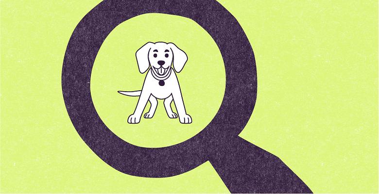 A vector illustration inside an aubergine, paper-textured, magnifying glass, on a large mystic green, paper-textured rectangle, of Lilac, a small juvenile white mutt dog with short white fur and long ears, staring at you with her tongue out and a happy look.