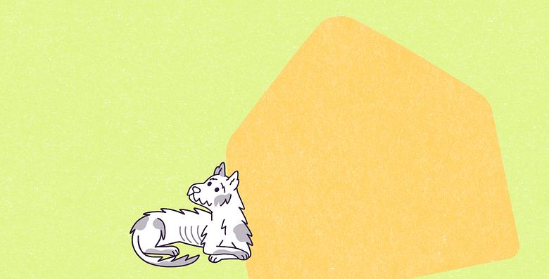 A vector illustration of a light yellow, paper-textured, house shape, on a large light lime green, paper-textured rectangle, on the left side of Clover, a medium-sized, white mutt dog with long, spiky fur and short, upright ears, sitting with his front paws crossed, gray spots on his fur, and visible ribs, facing left.