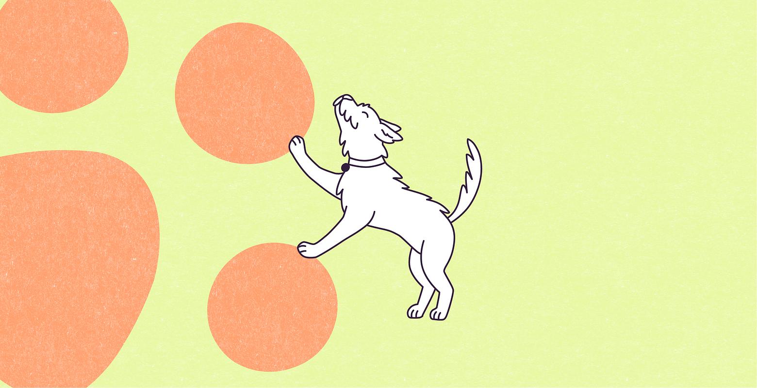 A vector illustration on a large light mystic green, paper-textured rectangle, of Clover, a medium white mutt dog with long, spiky, white fur and short, upright ears, joyfully interacting with a large paper-textured atomic tangerine paw shape, on the left of the rectangle.